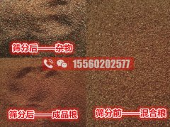 清除海藻籽里面的小石子用啥機器比較好？海藻籽篩分機